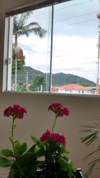 Foto 2 Ferreira Advocacia