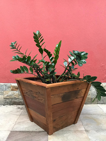 Foto 2 Shopping ECOCASA