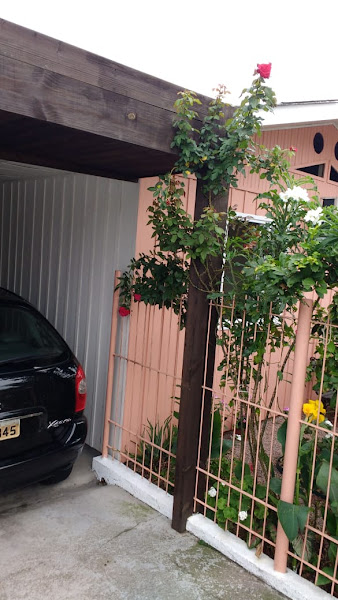 Reformas/Consertos e Montagens de Móveis - LINCOLN