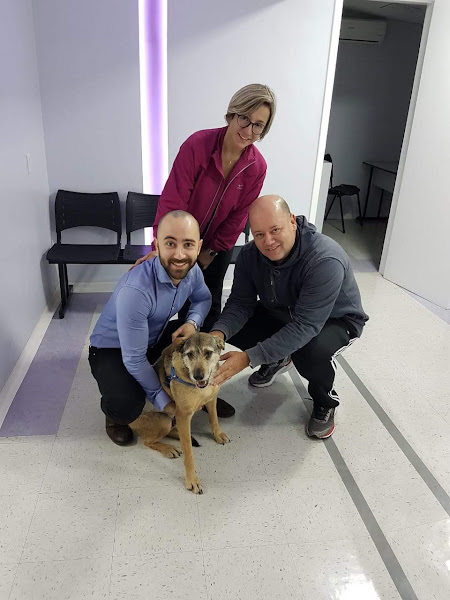 Kether Osasco - Centro Diagnóstico Veterinário