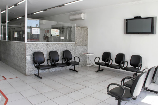 Foto 1 Centro Veterinário Cães e Gatos 24H