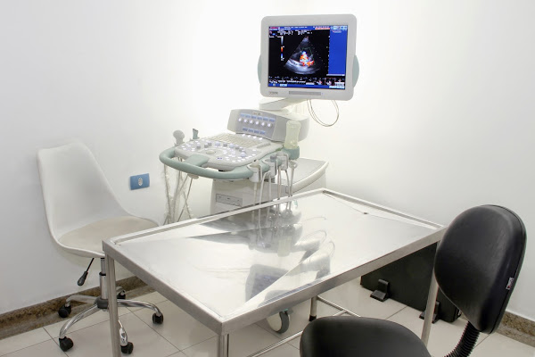 Foto 5 Centro Veterinário Cães e Gatos 24H