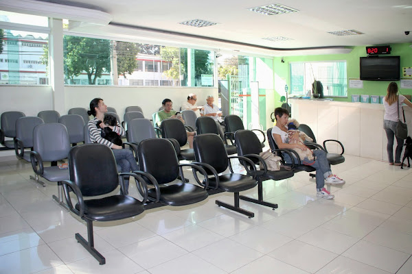 Foto 7 Centro Veterinário Cães e Gatos 24H Foto 7 Centro Veterinário Cães e Gatos 24H