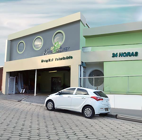 Hospital Veterinário Karu Amigo 24h