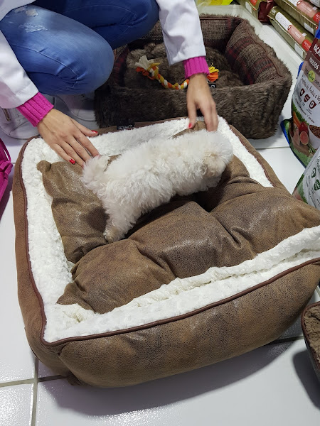 Foto 2 Santa Catarina Pet Shop