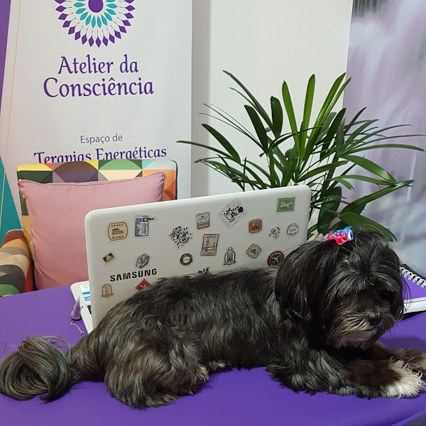 Foto 2 Veterinária Tiradentes