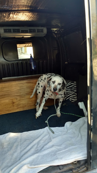 Veterinaria Tostes Dr MAURÍCIO