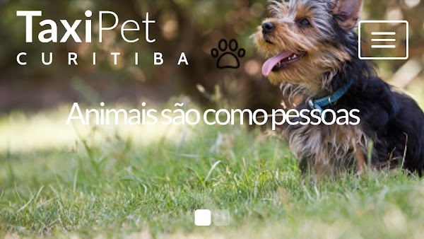 Taxi Pet Curitiba - Transporte de Cães