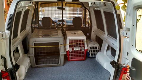 Foto 1 Taxi Pet Curitiba - Transporte de Cães