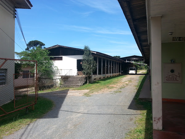 IJE Esquadrias de Madeiras - Carpintaria São Judas Tadeu