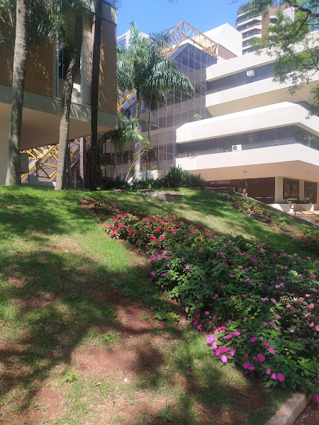 Prefeitura do Município de Maringá