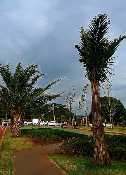 Foto 2 Prefeitura do Município de Maringá