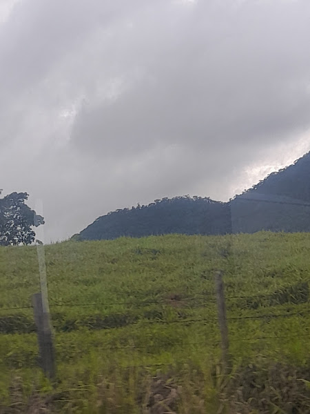 Foto 1 Expresso Maringá