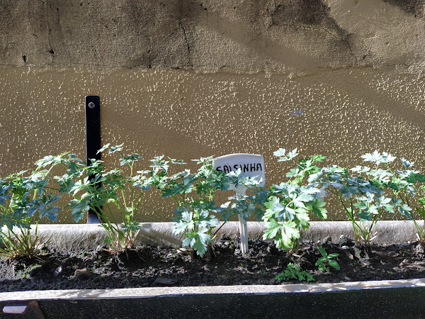 Centro de Convivência Cooperativa Toninha Centro de Convivência Cooperativa Toninha