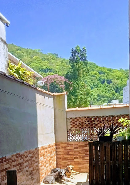 Foto 1 Bazar e roseiral