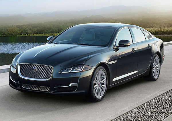 Foto 6 Black Transfers