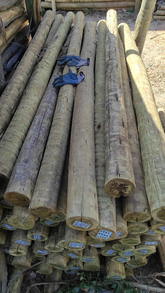 Foto 2 Betim Madeiras