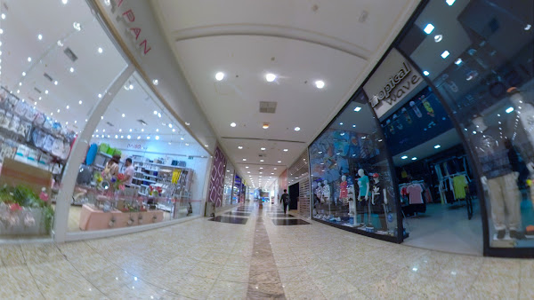 Foto 2 Tropical Wave