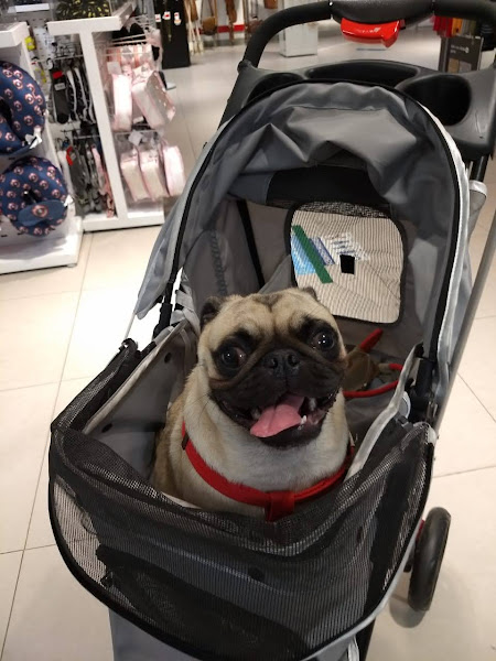 Foto 5 C&A Modas | Roupas Femininas, Masculinas, Infantis e Beleza