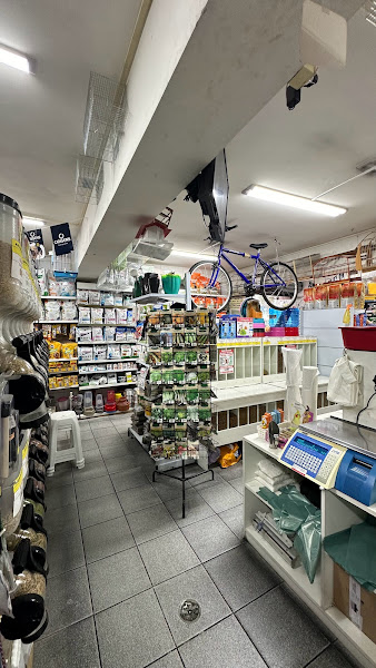 Foto 1 Nakazone Nakazone