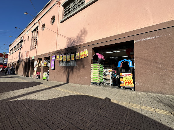 Foto 4 Nakazone Nakazone