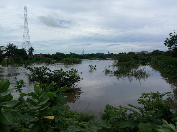 Foto 4 COOTRAPS | Cooperativa dos Transportadores Autônomos de Passageiros do Estado do Ceará