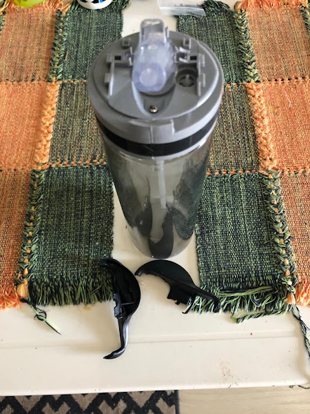 Foto 5 Centauro Foto 5 Centauro