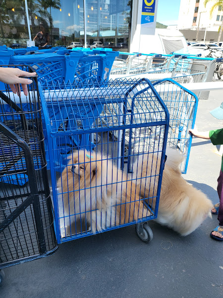 Foto 3 Decathlon Florianópolis