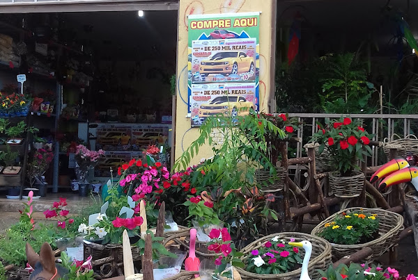 Floricultura Santa Flor