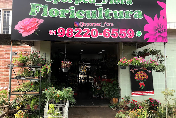 Floricultura Sporped Flora