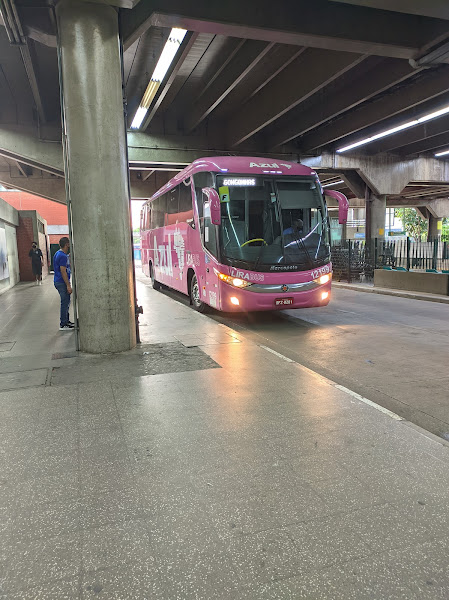 Foto 2 Ônibus Azul Linhas Aéreas