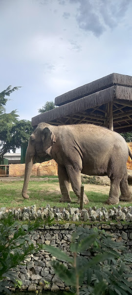 Foto 1 Encontre Sua Viagem - Madureira Shopping