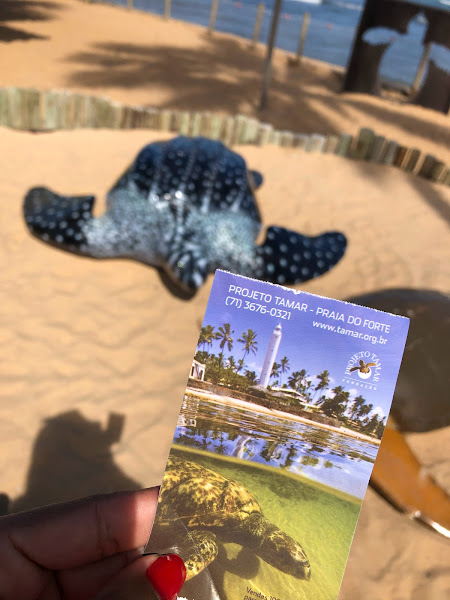 Foto 2 Privetur Modelo Viagens e Turismo