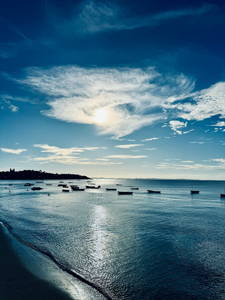 Foto 1 Tours Bahia International