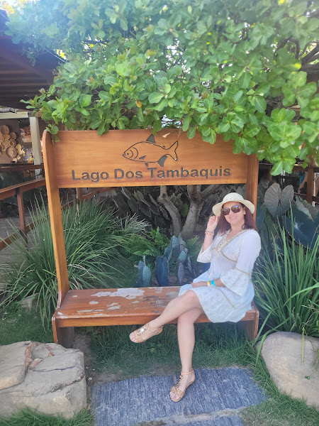 Foto 2 Anselmo Turismo