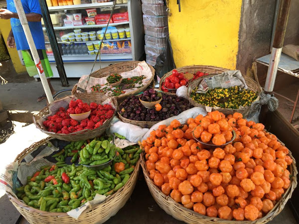 Foto 4 Bahia Metisse