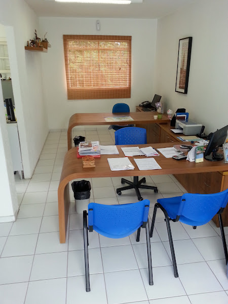 Arena Agência de Viagens & Turismo