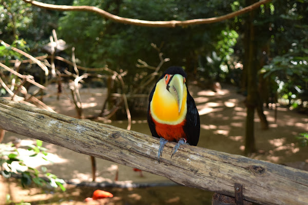 Foto 5 Have Fun Turismo