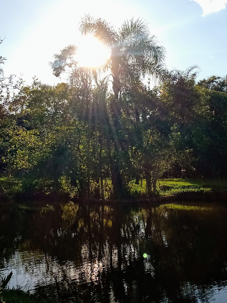 Foto 2 Filadelfia Assessoria de Viagens