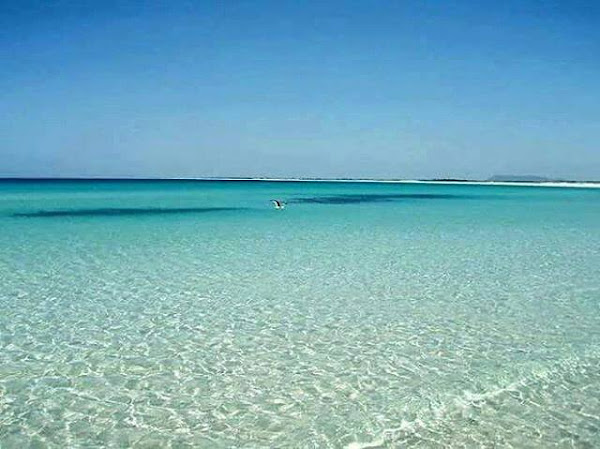 Foto 5 Bora Bora Viagens e Turismo