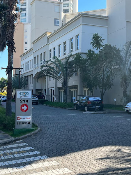 Foto 1 PALMY CONSULTING