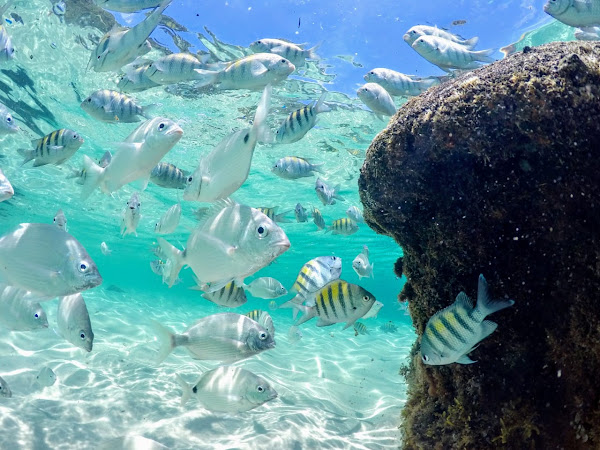 Foto 2 Turistando RJ - Agência de Passeios no Rio de Janeiro