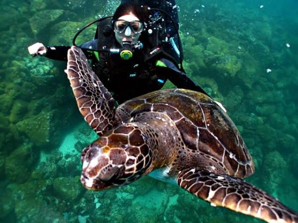 Foto 2 Boa Tour Foto 2 Boa Tour