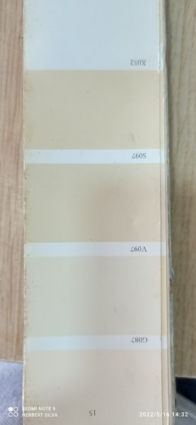 Foto 2 Roberto Tintas