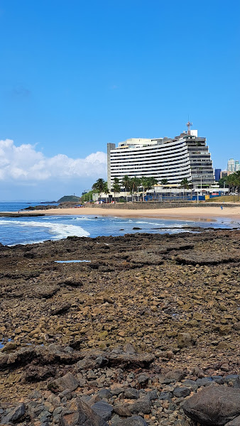 Foto 3 Foco Aluguel de Carros