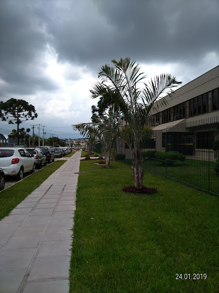 Ouro Verde Locação e Serviço S.A