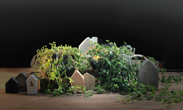 FORMUS | movelaria + arte