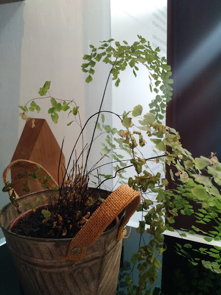 Foto 2 FORMUS | movelaria + arte