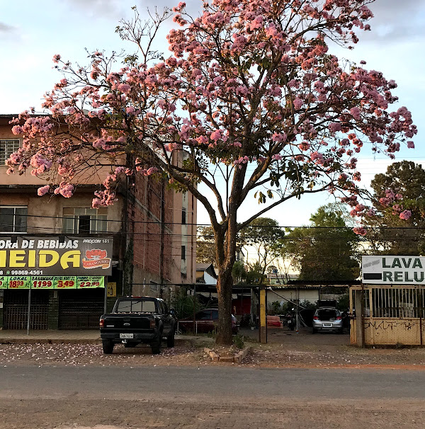 Rádio Alternativa Popular FM