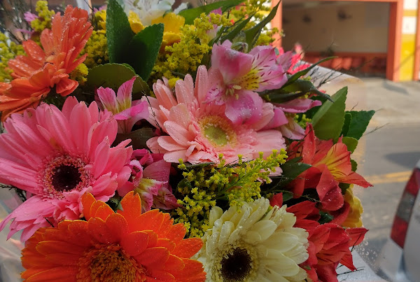 Foto 1 Elaine flores e presentes. Peça tambem pelo IFOOD https://abrir.link/GIWsG